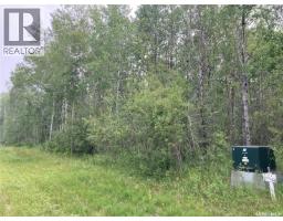 10 Acre Delaronde Lake Acreage, Delaronde Lake, SK S0J0E0 Photo 13