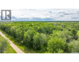 10 Acre Delaronde Lake Acreage, Delaronde Lake, SK S0J0E0 Photo 8