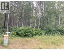 10 Acre Delaronde Lake Acreage, Delaronde Lake, SK S0J0E0 Photo 14