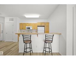 #317 11039 83 Av Nw, Edmonton, AB T6G2V6 Photo 7