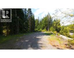 16997 Beachview Dr, Port Renfrew, BC V0S1K0 Photo 6