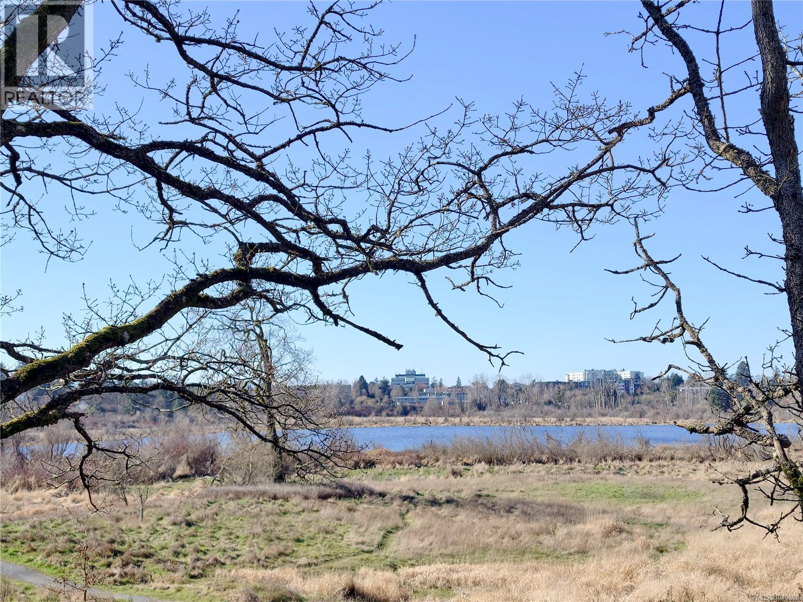 3933 Saanich Rd - 33