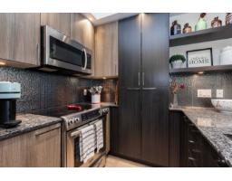 B208 20211 66th Avenue, Langley, BC V2Y0L4 Photo 6