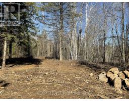 Part Lot 32 And 33 Part 2 Conc 1 Concession, Minden Hills, ON K0M1X0 Photo 12