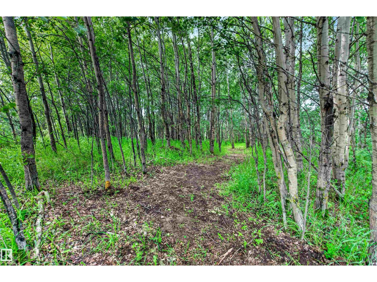 #129 50072 Range Road 205 — photo 29