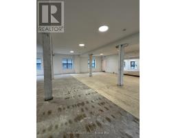 Main - 96 Wilson Street, Hamilton, ON L8R1C9 Photo 10