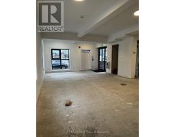 Main - 96 Wilson Street, Hamilton, ON L8R1C9 Photo 8