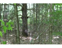 129 Ward Court, Ottawa, ON K0A1X0 Photo 21