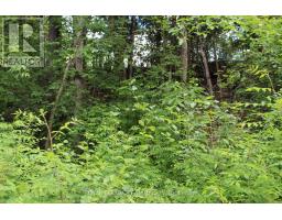 129 Ward Court, Ottawa, ON K0A1X0 Photo 27