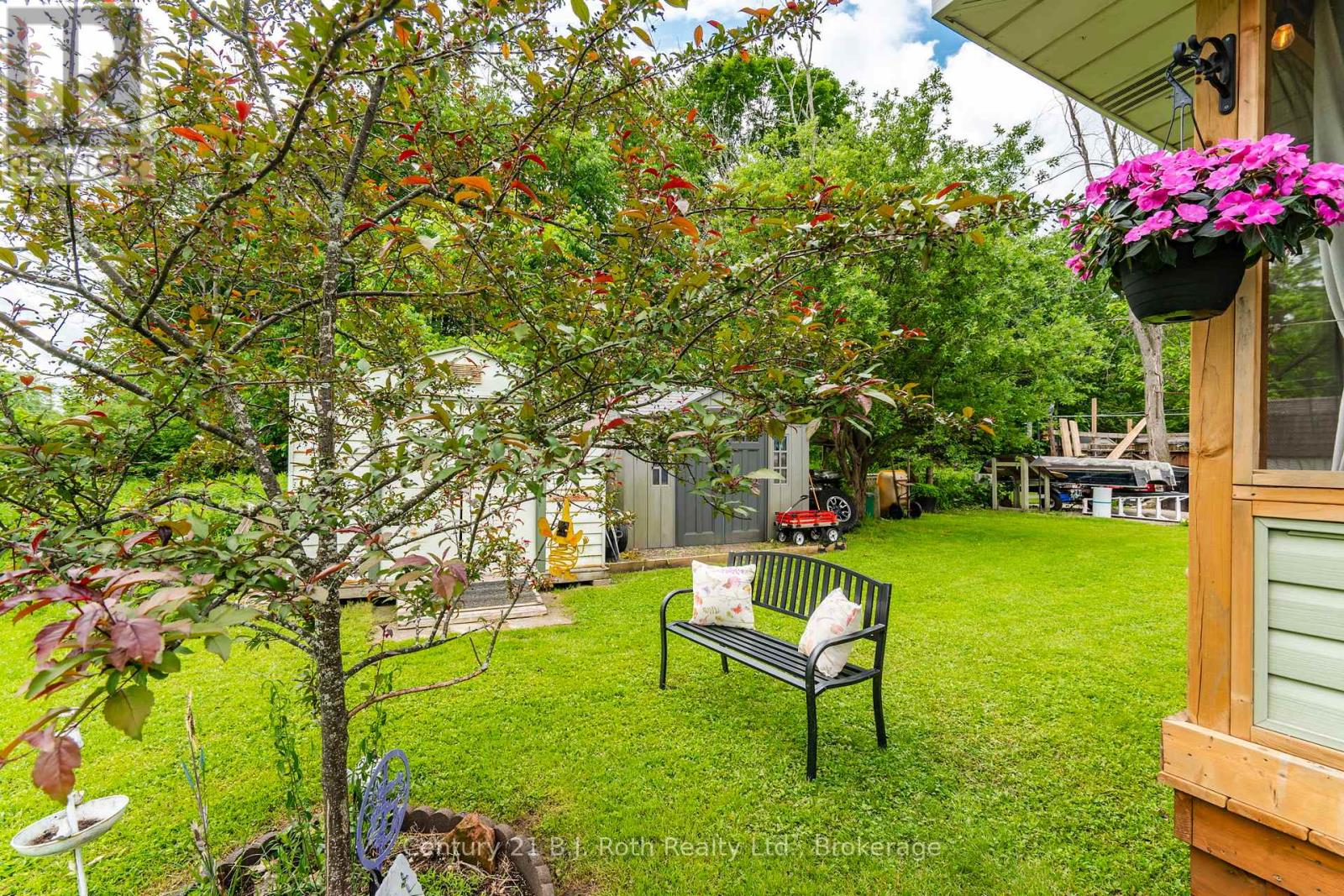 21 MAPLE STREET - 50