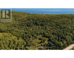 729297 21st Side Road, Blue Mountains, ON N0H1J0 Photo 45