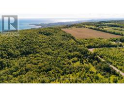 729297 21st Side Road, Blue Mountains, ON N0H1J0 Photo 46