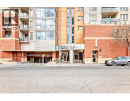 915, 1053 10 Street SW - photo 46