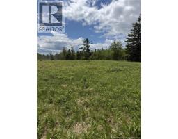 Route 117, Hardwicke, NB E9A1L6 Photo 7