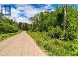 Lot 10 Timberland Trail, South Range, NS B0W1H0 Photo 18