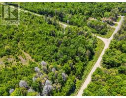 Lot 10 Timberland Trail, South Range, NS B0W1H0 Photo 16