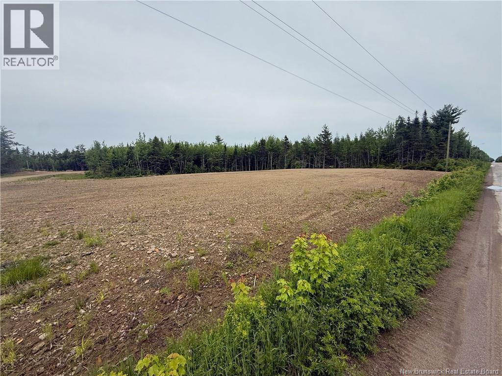 Lot 561 Ward Road, Cocagne — photo 3