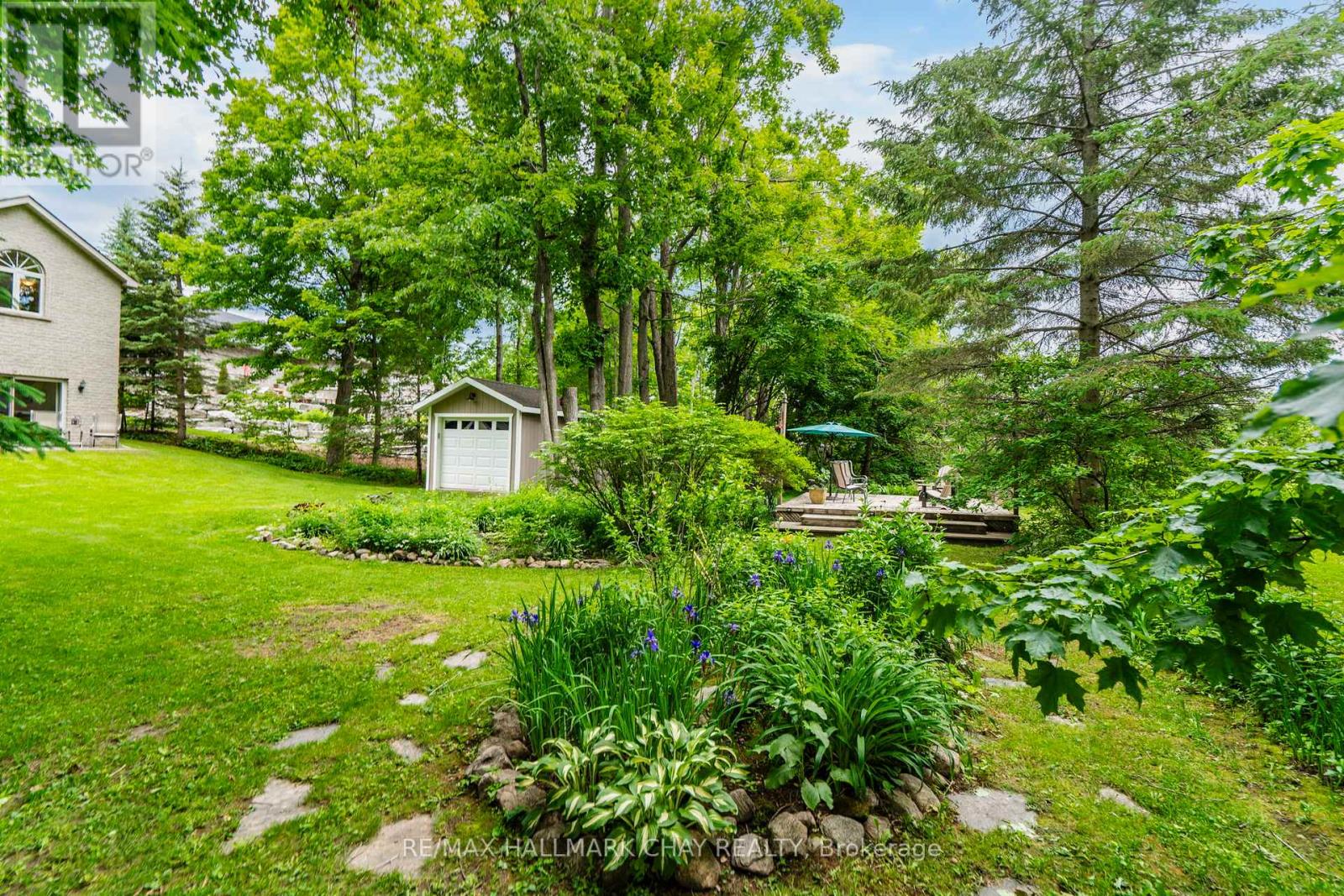 3 NORDIC TRAIL - 45