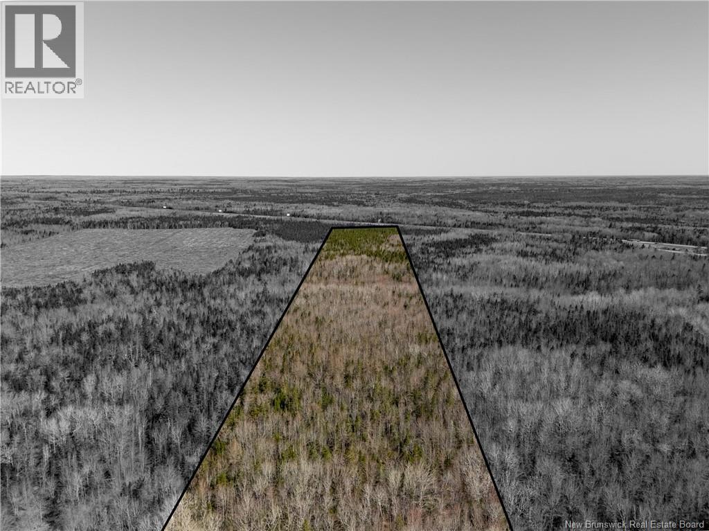 Lot Route 132, Lakeburn — photo 3