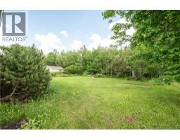 523 Alphee Street, Dieppe, NB E1A6W6 Photo 49