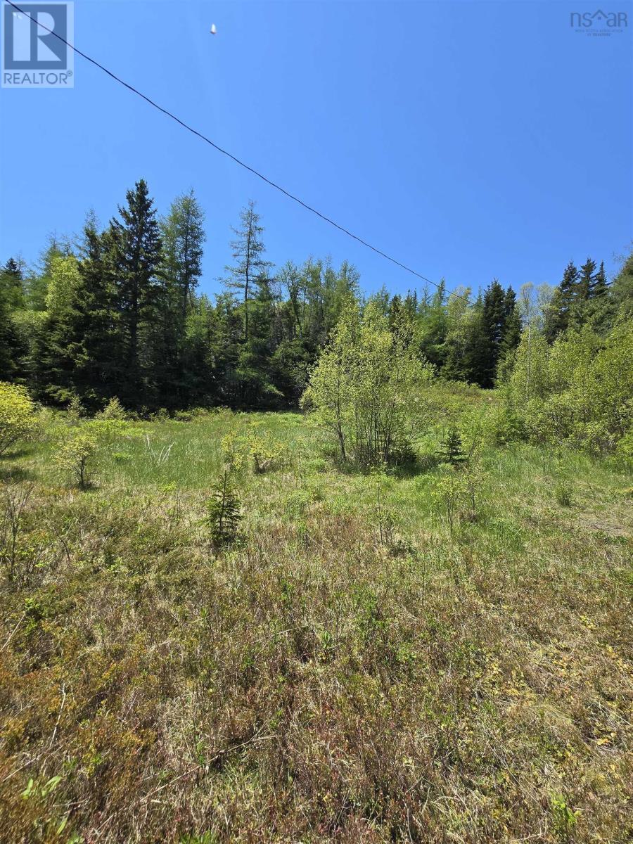 Property 4 of 8 of 17987 316 Highway