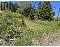 17987 316 Highway, Country Harbour, NS B0H0B1 Photo 6