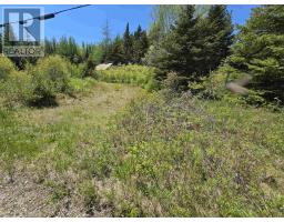 17987 316 Highway, Country Harbour, NS B0H0B1 Photo 7