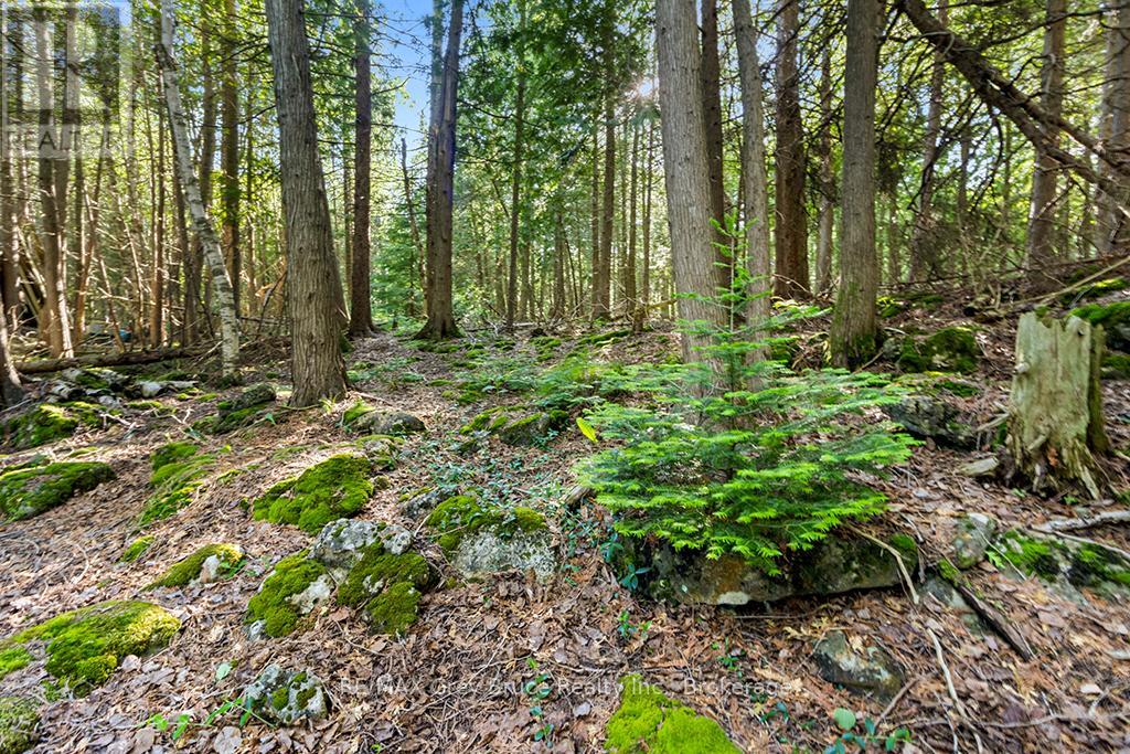 609 STOKES BAY ROAD - 26