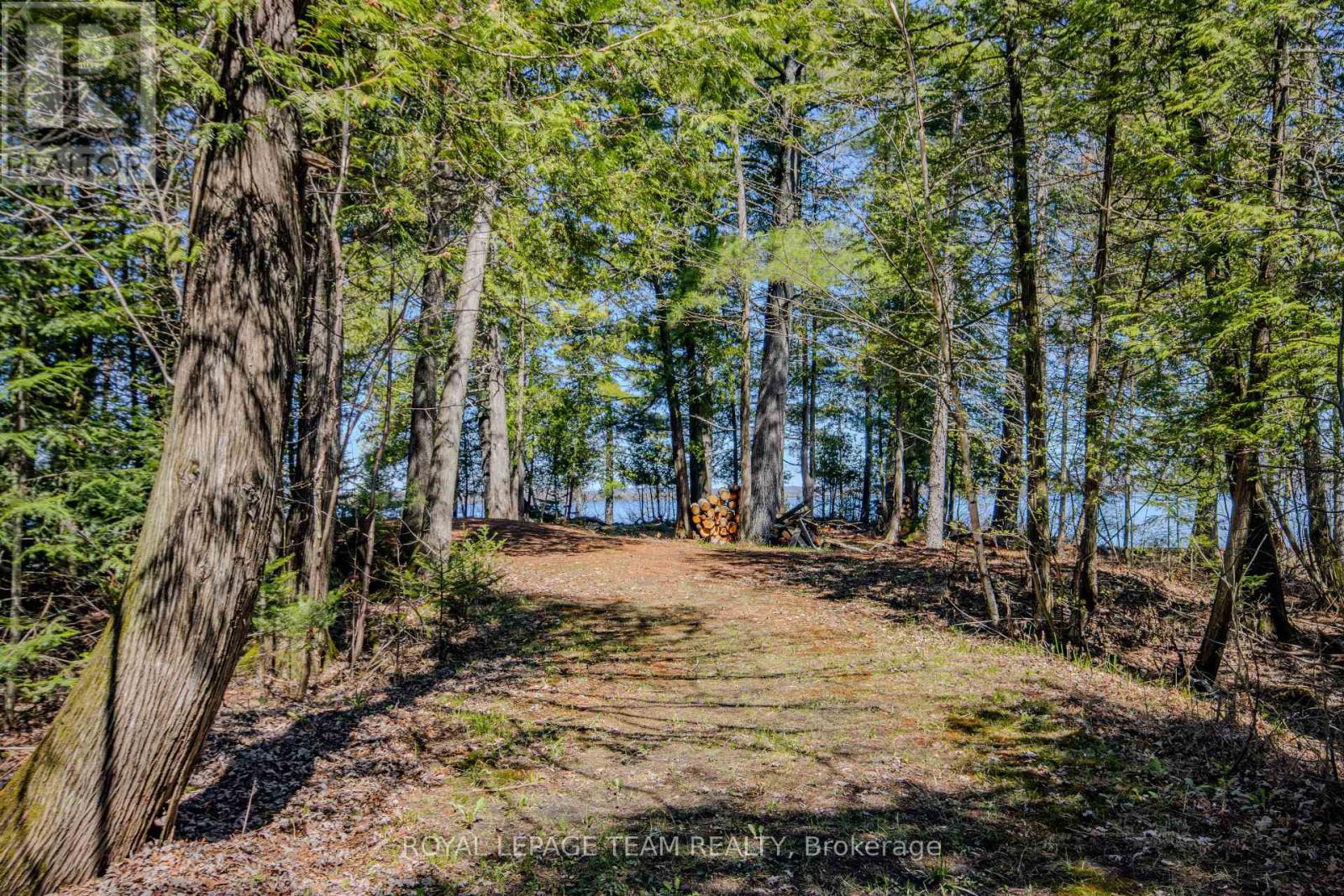 204B HAWKINS DRIVE - 49