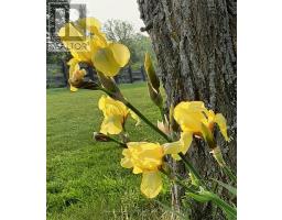524 Hoover Road, Stirling Rawdon, ON K0K3E0 Photo 28