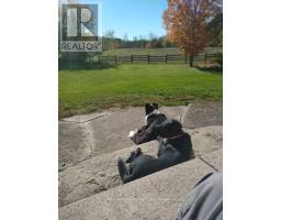 524 Hoover Road, Stirling Rawdon, ON K0K3E0 Photo 29