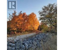 524 Hoover Road, Stirling Rawdon, ON K0K3E0 Photo 30