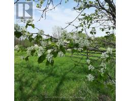 524 Hoover Road, Stirling Rawdon, ON K0K3E0 Photo 27