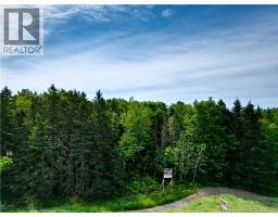 47950 Chemin Homestead Road, photo 3