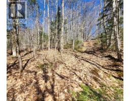 47950 Chemin Homestead Road, Moncton, NB E1G2P7 Photo 11