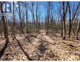 47950 Chemin Homestead Road, Moncton, NB E1G2P7 Photo 10