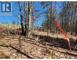 47950 Chemin Homestead Road, Moncton, NB E1G2P7 Photo 14