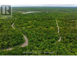 00 Hwy 47, Havelock Belmont Methuen, ON K0L1Z0 Photo 6
