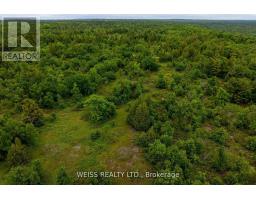 00 Hwy 47, Havelock Belmont Methuen, ON K0L1Z0 Photo 8