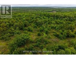 00 Hwy 47, Havelock Belmont Methuen, ON K0L1Z0 Photo 9