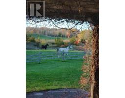 524 Hoover Road, Stirling Rawdon, ON K0K3E0 Photo 25