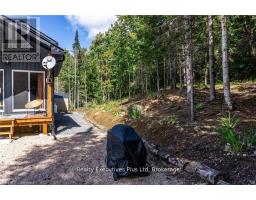Lot #17 - 93 Rye Road, Parry Sound Remote Area, ON P0A1X0 Photo 7