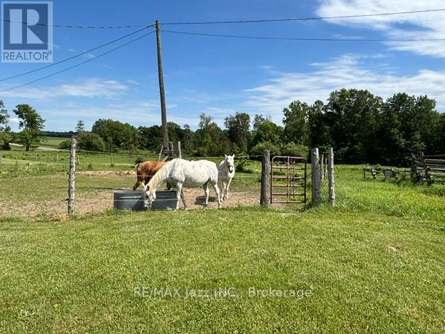 224 CHRISTIANI ROAD - 23