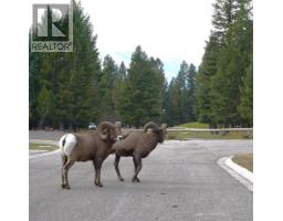 900 Bighorn Boulevard Unit# 914, Radium Hot Springs, BC V0A1M0 Photo 30