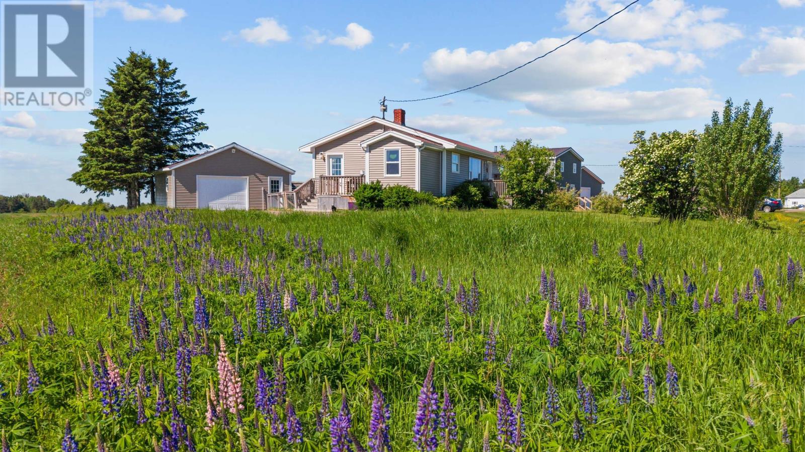 487 PIUSVILLE Road - 24