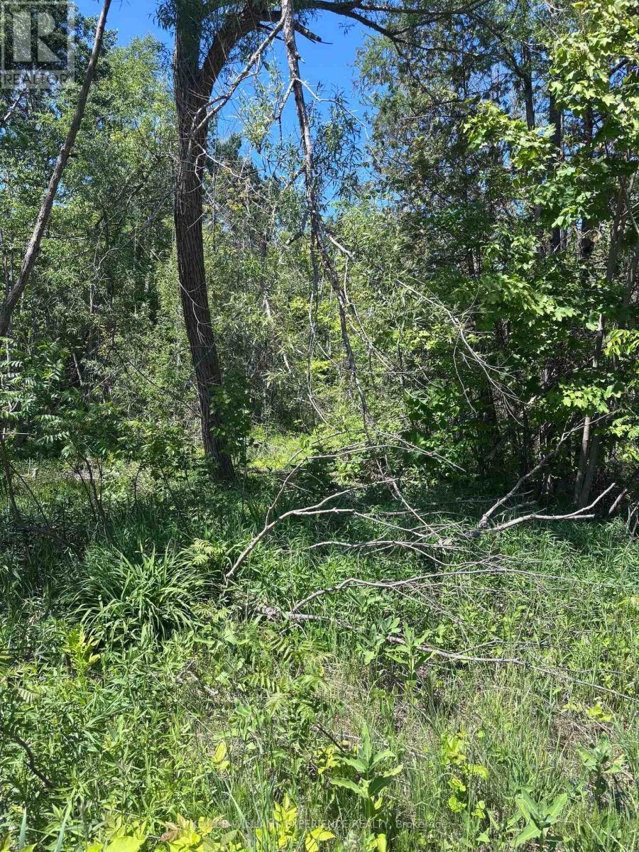 1382 WILSON POINT ROAD, Orillia — photo 2