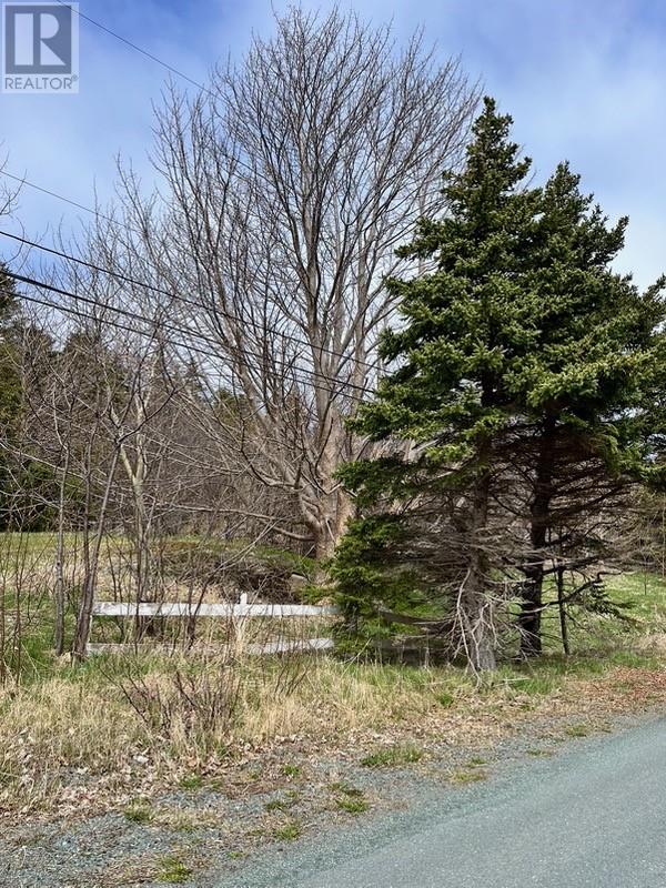 #81-89 Town Circle Road, Pouch Cove — photo 3