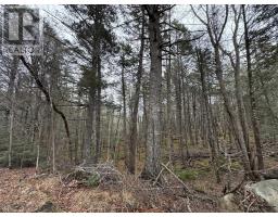 Lot 78 Thumb Cap Point, Labelle, NS B0T1E0 Photo 6