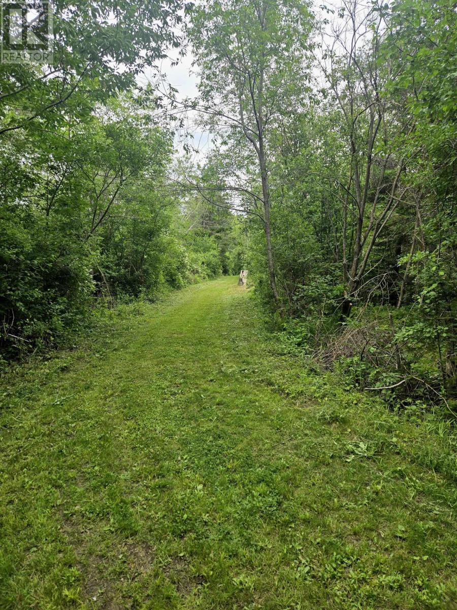 205 Parker Mountain Road - 32