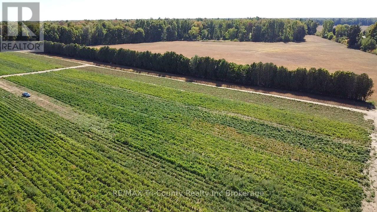 1225 1ST CONCESSION ENR ROAD - 4